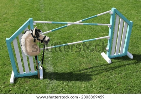 Hobby horse in front of an jumping obstacle on green gras