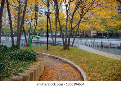 Hoboken, NJ / USA - October 21, 2020: Autumn Colors At Pier C Park In Hoboken.