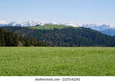 Hochberg Plain Near Pfänder, Snowy Mountains In The Background. Vorarlberg, Austria. High Quality Photo