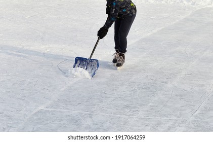 Hockey Player On Ice-skating Removing Snow With A Blue Shovel In The Winter In A Park. Wearing Dark Clothes. Moving Towards Camera. Ice Rink Cleaning At Centr. Active Sport Outdoor