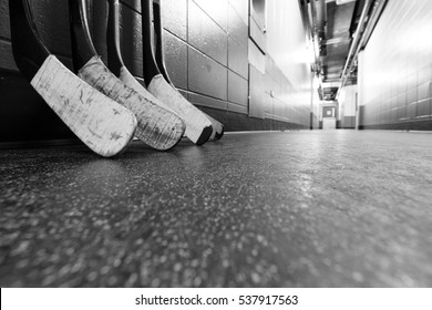 Hockey Stick Blades Laid On A Dirty Arena Floor - Shallow Depth Of Field - Black And White