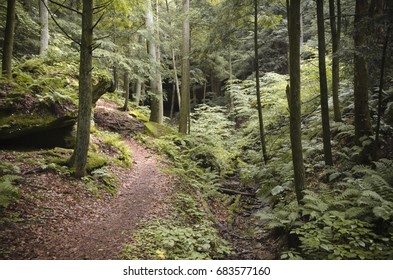 Hocking Hills, Ohio | 2013