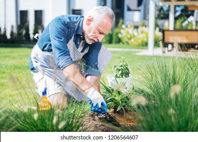 Hoe in hands. Bearded mature man wearing white gloves holding little hoe in his hands while grubbing the weeds up - Powered by Shutterstock