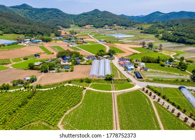 Hoeryeong-ri, Boseong-gun, Jeollanam-do, South Korea - May 22, 2020: Aerial View Of Houses And Farmland Near Daehan Dawon Tea Plantation
