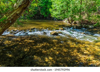 Hoggs Falls Flesherton Ontario Canada In Spring