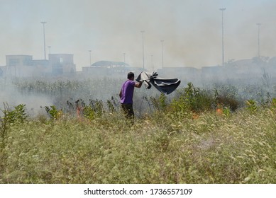 Hogros/Serbia - July 7, 2016: Migrants/refugees/people On The Move Trying To Put Out The Fire Approaching The Camp Next To Hungarian Border, Without Equipment, With Bare Hands And Improvised Means.