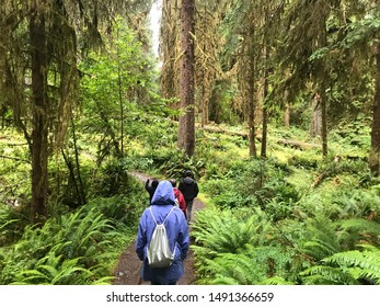 Hoh Rain Forest, Washington/USA - July 10, 2019: A Family Takes A Hike Through The Lush Hoh Rain Forest In The Olympic Peninsula