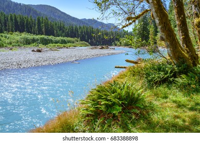 Hoh River