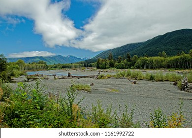 Hoh River Valley