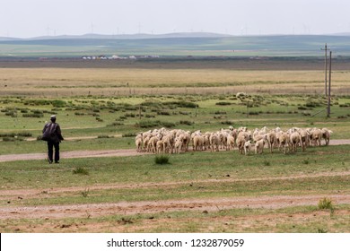 Hohhot Inner Mongolia Province China July Stock Photo 1232879059 ...