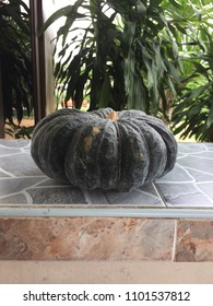 Hohoho Pumpkin So Big