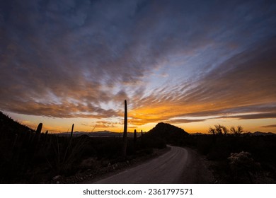 Hohokam Road Below Cloudy Sunset In Saguaro National Park - Powered by Shutterstock