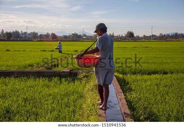 rice paddy hard hat