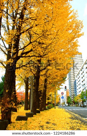 Similar – Image, Stock Photo Autumn is here Environment