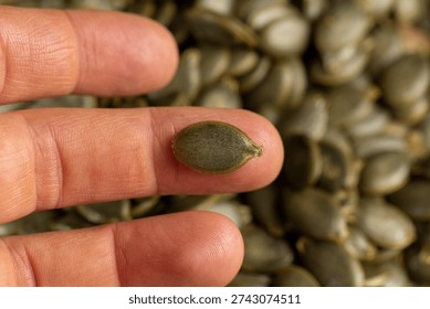 hold pumpkin seeds without shells, sweet ripe healthy fresh pumpkin seeds