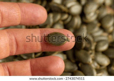hold pumpkin seeds without shells, sweet ripe healthy fresh pumpkin seeds