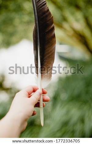 Holding black crane feather summer day