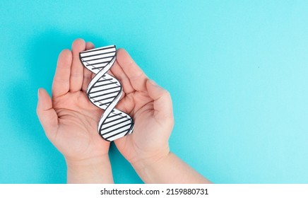 Holding a DNA strand in the hand, genetic therapy and treatment, biotechnology in mordern medicine, gene-based vaccination health care 