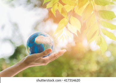 Holding Earth Planet In The Hand With Tree And Against Green Spring Background. 
Corporate Social Responsibility Or CSR Concept. Elements Of This Image Furnished By NASA