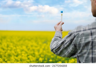 Holding Flower Sample In A Tube On The Field For Chemical Analysis Test. Agrochemical Analysis Concept.