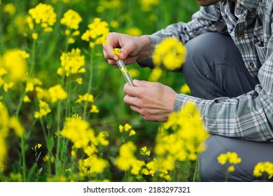 Holding Flower Sample In A Tube On The Field For Chemical Analysis Test. Agrochemical Analysis Concept.