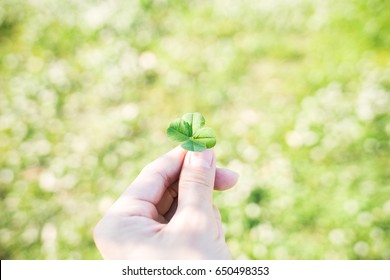 Holding Four Leaf Clover