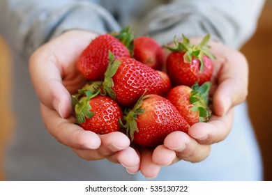 holding fresh strawberry in hands - Powered by Shutterstock