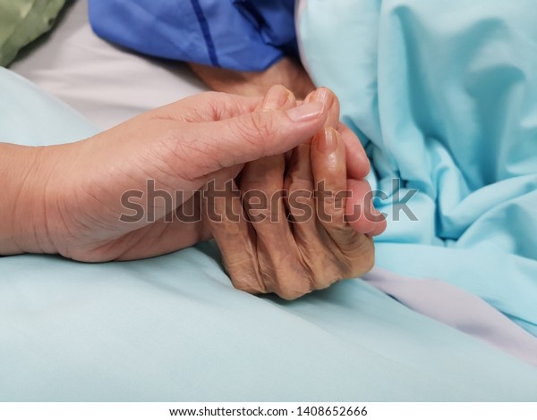 Holding grandmother\'s\
hand in the nursing care. Showing all love, empathy, helping and\
encouragement : healthcare in end of life care and palliative care\
in hospital concept