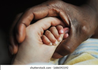 Holding hands of biracial family - Powered by Shutterstock