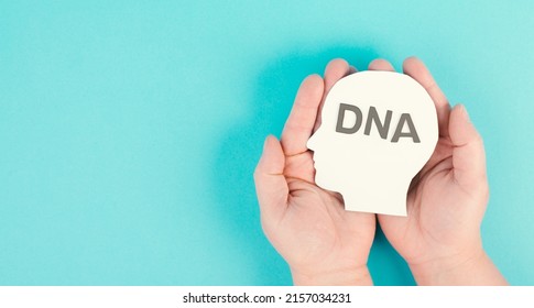 Holding a head with the word DNA, genetic therapy and treatment, biotechnology in mordern medicine, health care