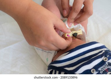 Holding A Newborn's Umbilical Cord Clamp