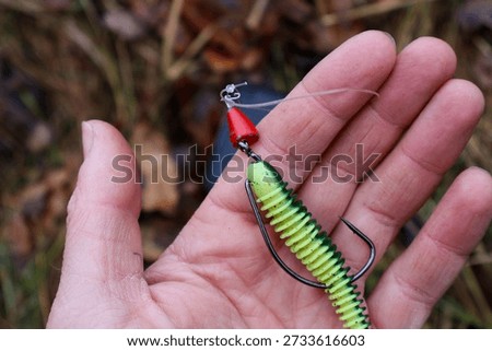 I'm holding an offset rig for catching a predator. This green worm is catching