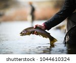 Holding Rainbow Trout