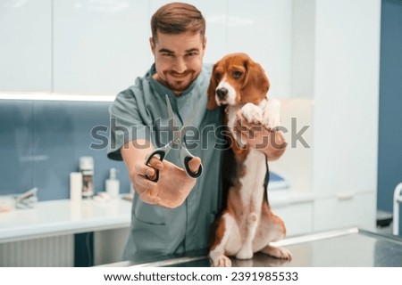 Holding scissors. Conception of castration. Dog in veterinarian clinic with male doctor.