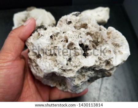 Holding a Scolcite, a common Icelandic mineral formed by volcanic eruptions
