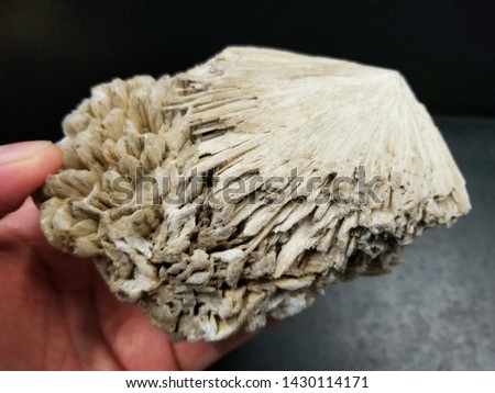 Holding a Scolecite, a common Icelandic mineral formed by volcanic eruptions