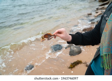 Holding a seashell by the ocean