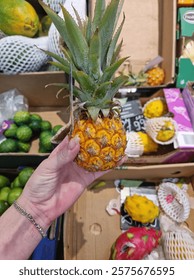 holding a small pineapple against a background of fruits