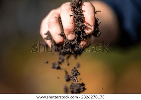 Holding soil in a hand, feeling compost in a field in Tasmania Australia. 