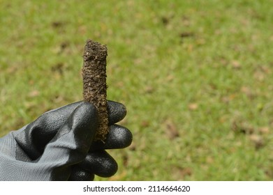 Holding Soil Plug From Lawn Core Aeration