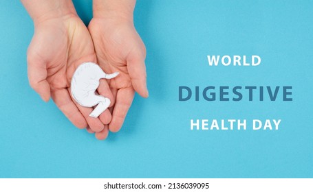 Holding A Stomach In The Hand, Inflammation Digestive System, Gastrointestinal Health Issues, Gastric Cancer, World Digestive Health Day