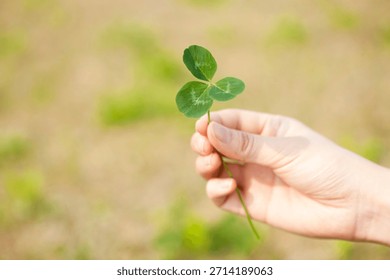 Holding a three-leaf clover in a hand while standing in a green field during daytime