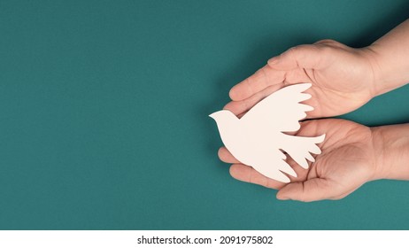 Holding a white dove in the hands, symbol of peace, paper cut out, copy space for text - Powered by Shutterstock