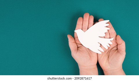 Holding A White Dove In The Hands, Symbol Of Peace, Paper Cut Out, Copy Space For Text