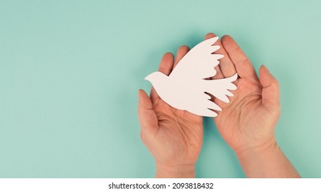 Holding A White Dove In The Hands, Symbol Of Peace, Paper Cut Out, Copy Space For Text