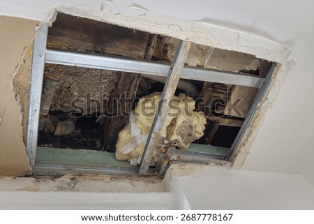 hole in broken ceiling with insulation and old construction sheetrock showing through sheet rock exposed repair water damage bathroom cut out wall repairing damaged