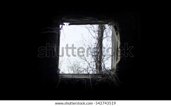 Hole Ceiling Abandoned Building Closeup Stock Photo Edit