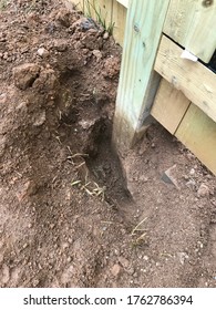 Hole Dug Under Fence By Dogs