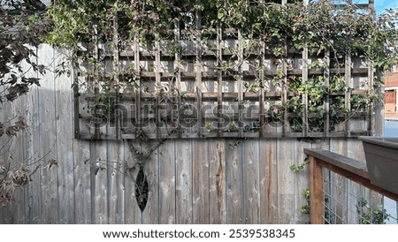 Similar – Image, Stock Photo Stories from the fence .156