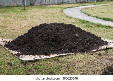 Hole in Ground, Digging a hole on lawn for plant, Pile of soil - Shutterstock ID 390023848